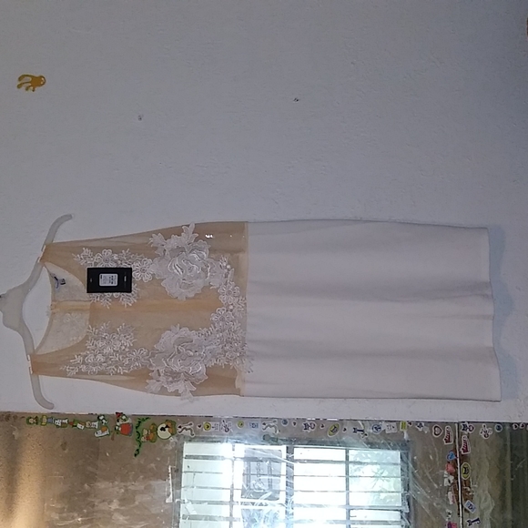 Plus Size Fashion Nova "The Way You Move" Ivory Dress (3X) - Picture 7 of 16